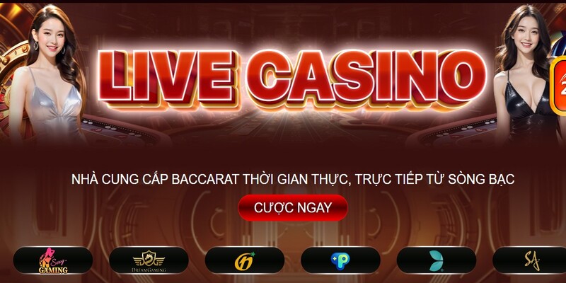 ABC8 ca cuoc casino